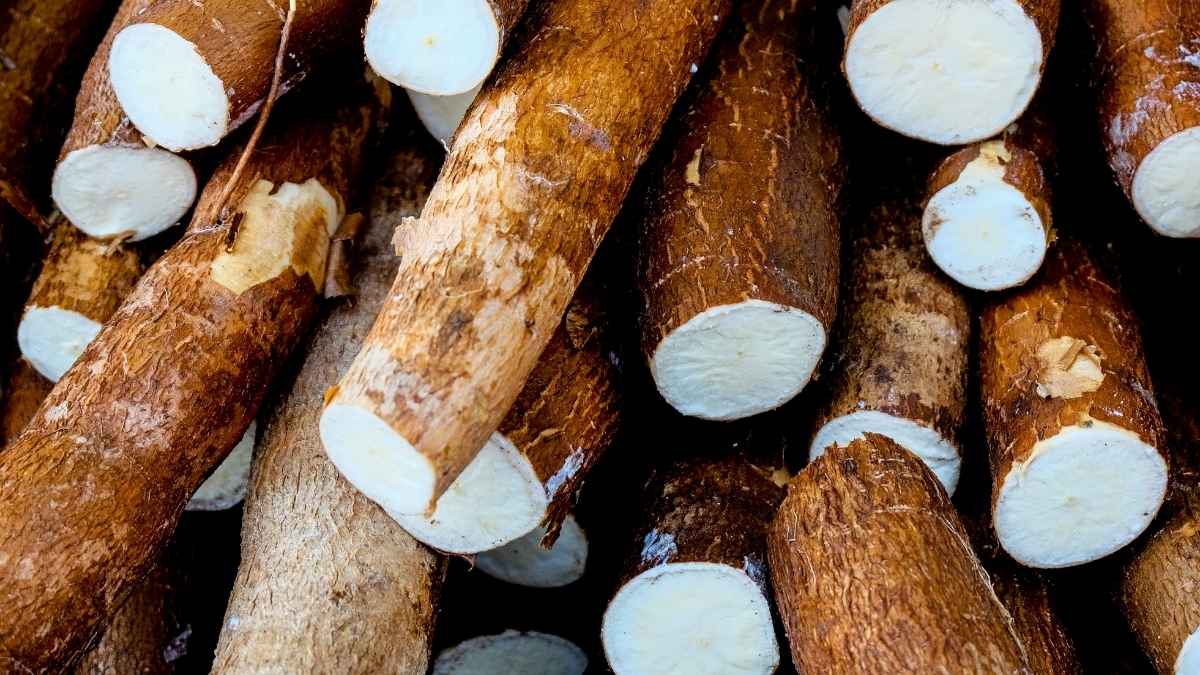 Cassava Flour