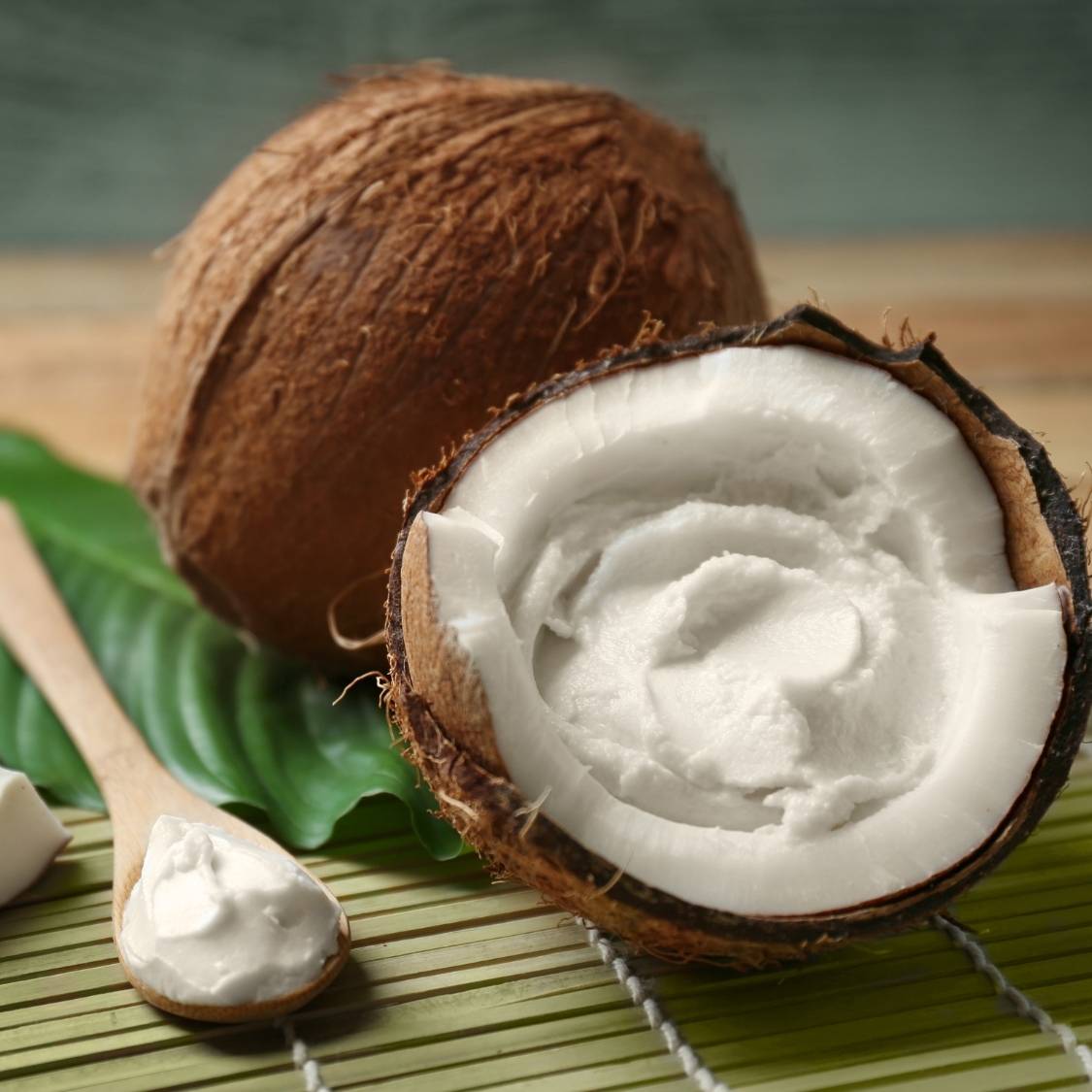 Bulk Coconut Meat Puree