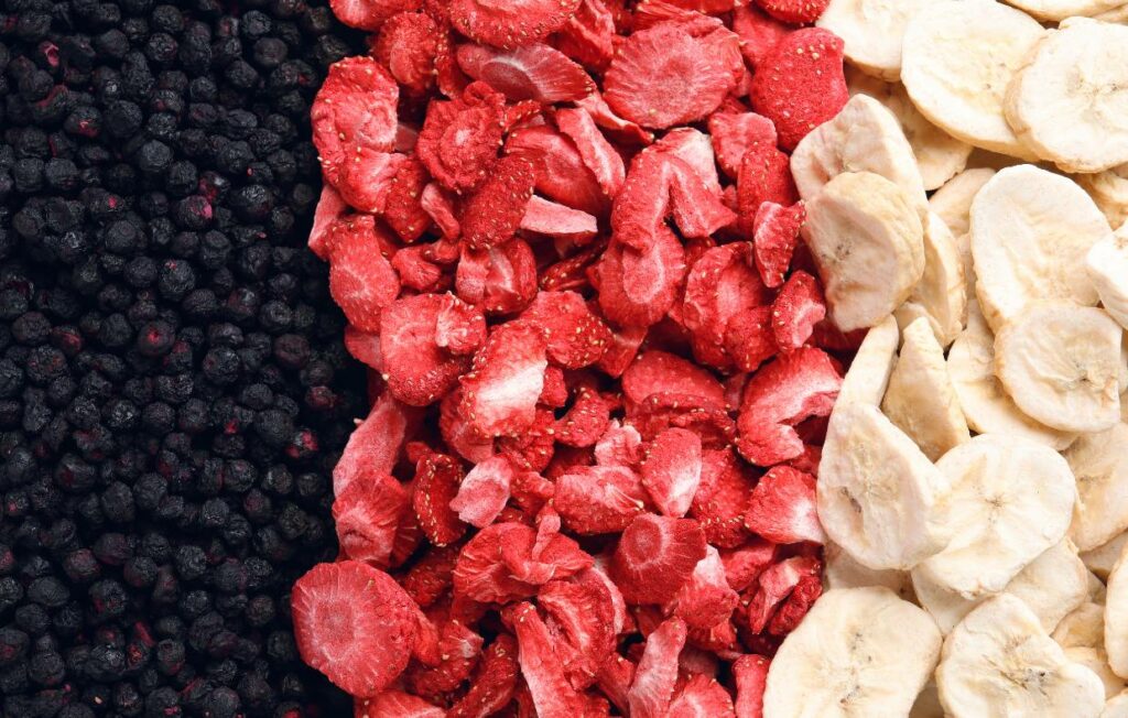 Freeze dried fruits all together