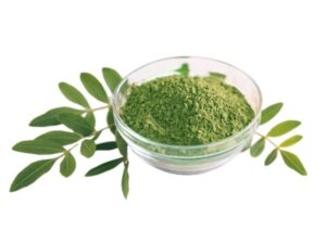 Bulk Moringa – Powder Spray Dried