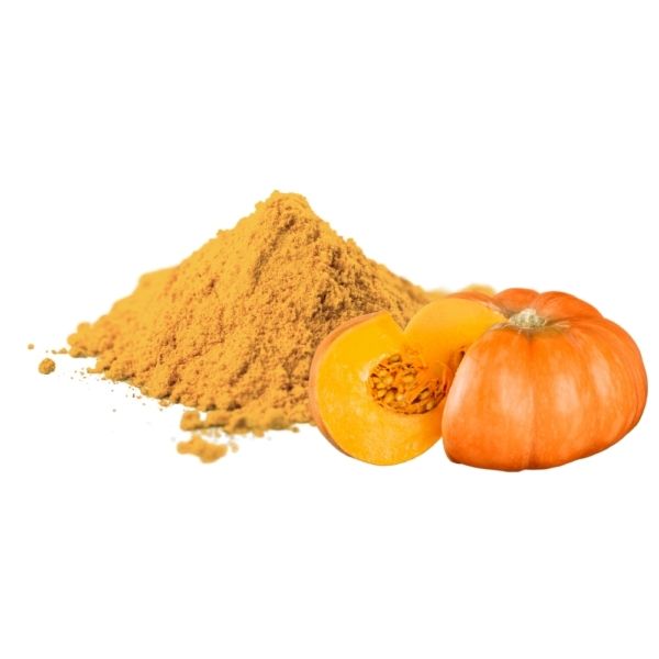 Bulk Pumpkin – Powder Drum Dried