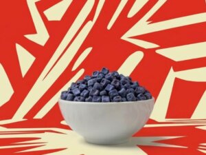 Coconut Water PLPDP (19)