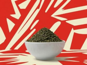 Coconut Water PLPDP (3)