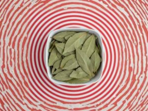 Coconut Water PLPDP (21)