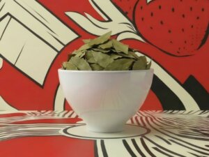 Coconut Water PLPDP (6)