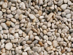 Bulk Chia Seed – White Ground