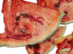 Dried watermelon slices