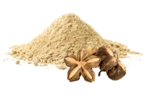 Bulk Sacha Inchi Protein