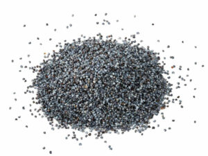 Navy blue poppy seeds in a heap