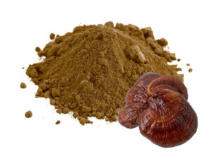 Brown powder in a heap beside some mushrooms