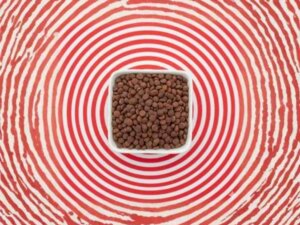 Coconut Water PLPDP (86)