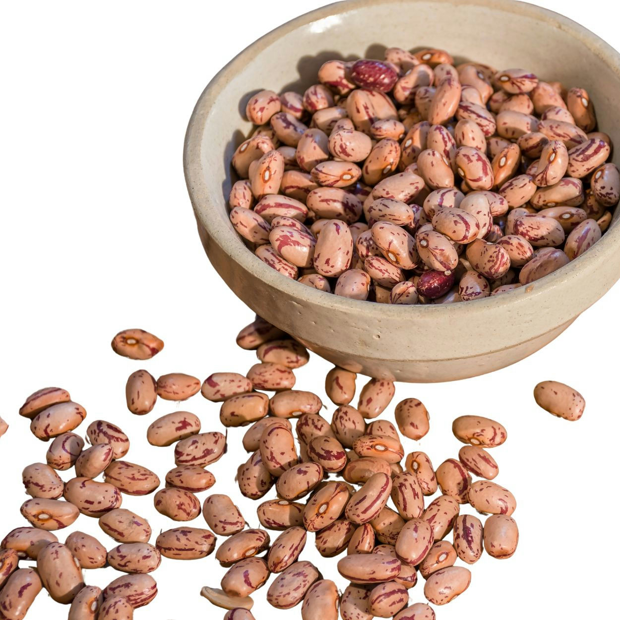 Red- speckled , brown beans in a bowl and spread out beside the bowl.