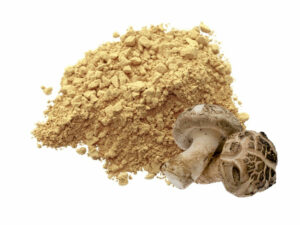 Top biew of beige-brown powder in a heap, displayed with some mushrooms.