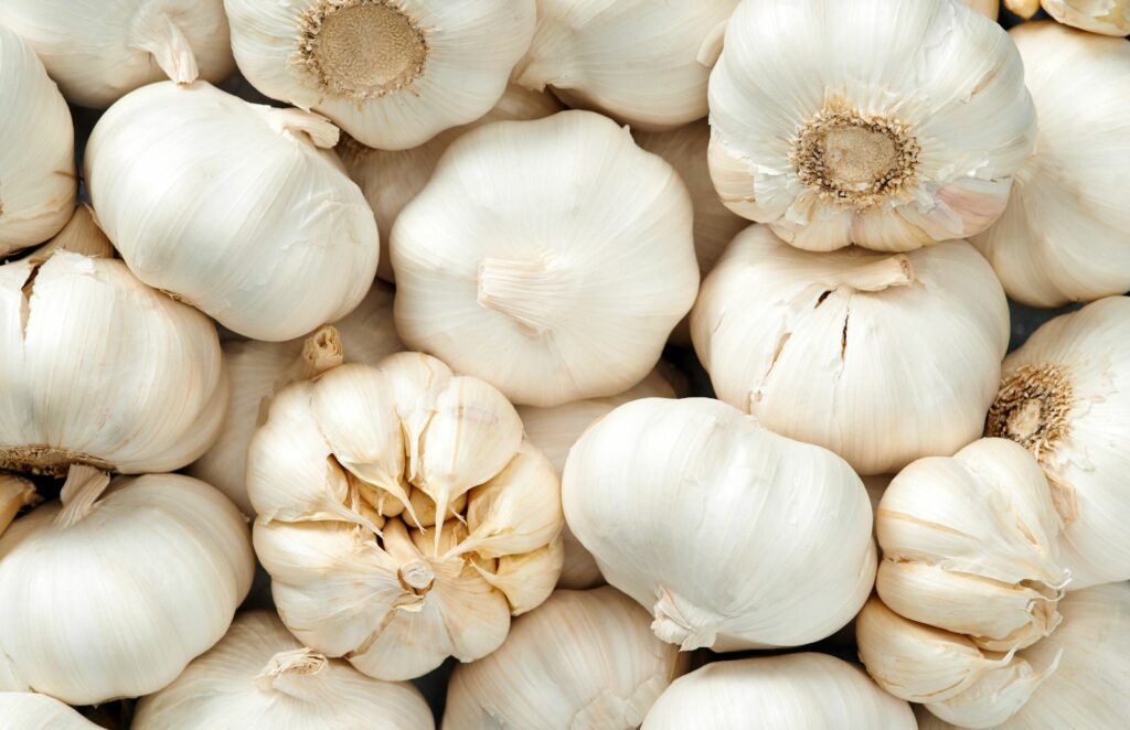 garlic powder and a wooden spoon on a table