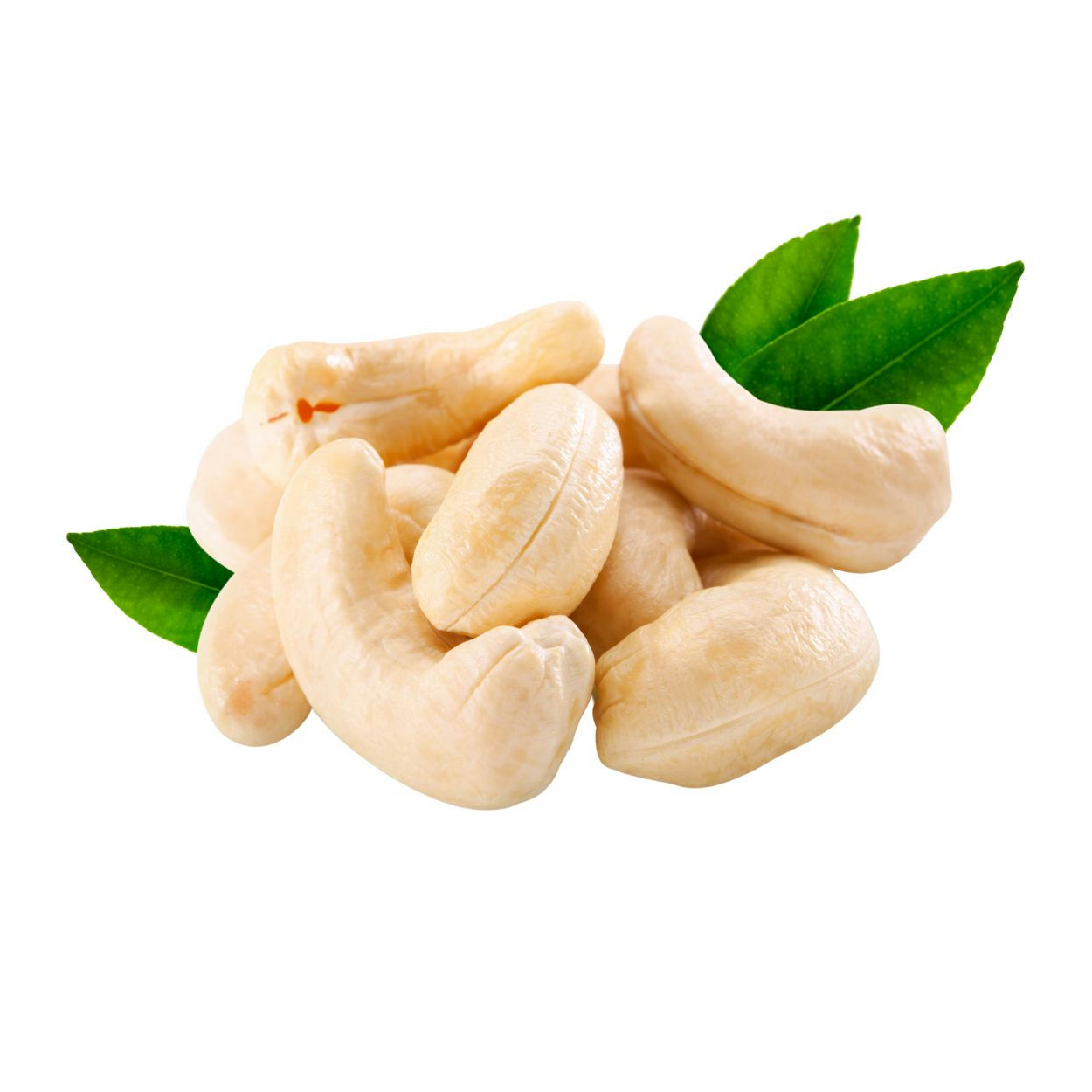 Large cashew nuts, displayed with some leaves.