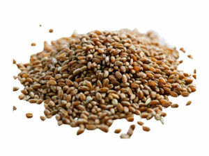 Brown grains in a heap.