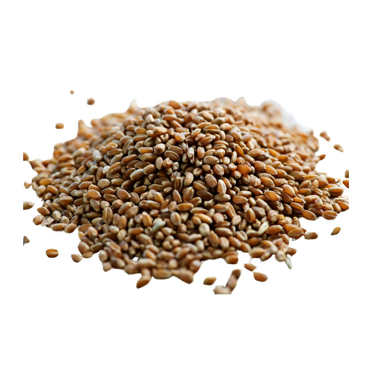 Brown grains in a heap.
