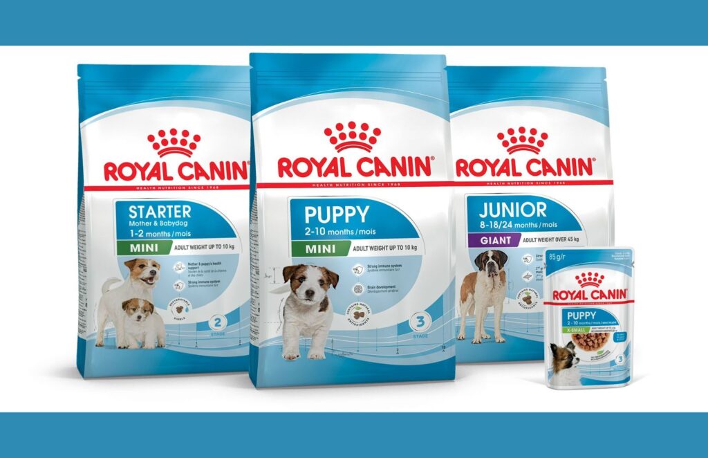Puppy Food Royal Canin