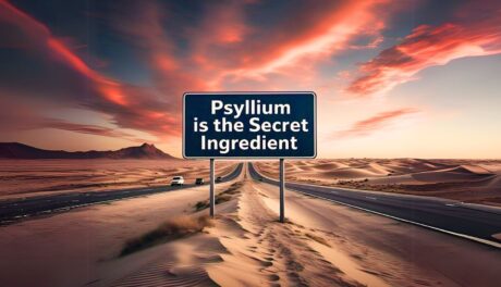 an image a sign in the highway that says "Psyllium is the Secret Ingredient". the background is the dessert with red clouds