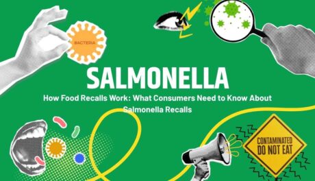 Salmonella 4th Branch Piece Cover Photo
