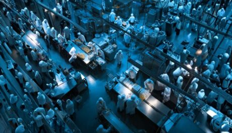 A modern food factory filled with light, showing workers and machines collaborating