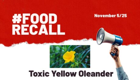 Toxic Yellow Oleander