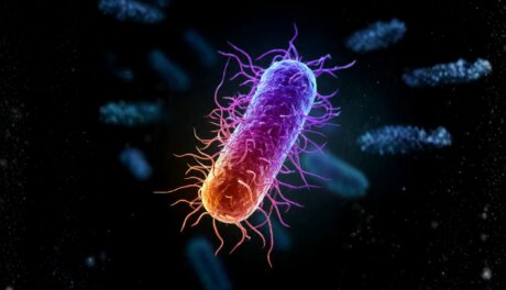 Salmonella, psychedelic image