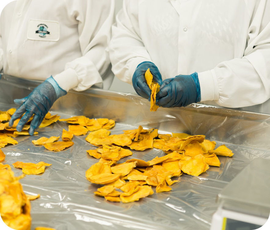 Food safety team sorting dried fruit